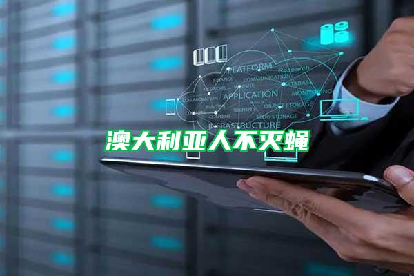澳大利亞人不滅蠅