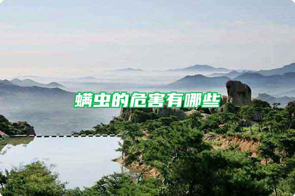螨蟲的危害有哪些