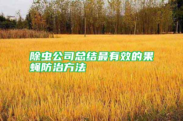 除蟲公司總結最有效的果蠅防治方法