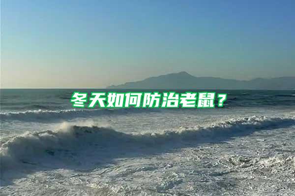 冬天如何防治老鼠？