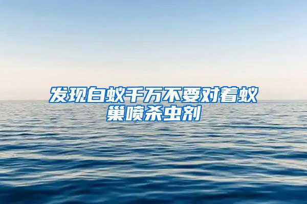 發現白蟻千萬不要對著蟻巢噴殺蟲劑