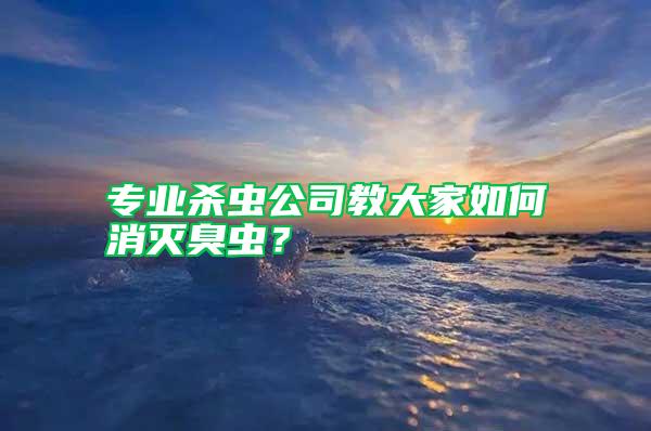 專業殺蟲公司教大家如何消滅臭蟲？