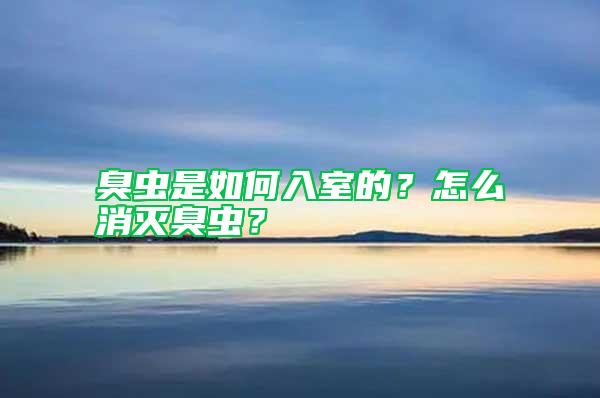 臭蟲是如何入室的？怎么消滅臭蟲？