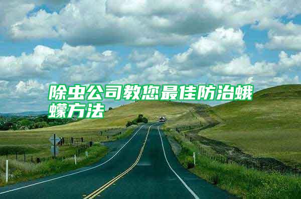 除蟲公司教您最佳防治蛾蠓方法
