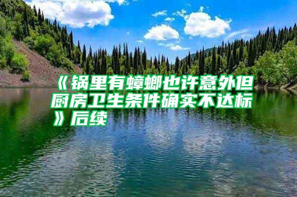 《鍋里有蟑螂也許意外但廚房衛(wèi)生條件確實不達(dá)標(biāo)》后續(xù)