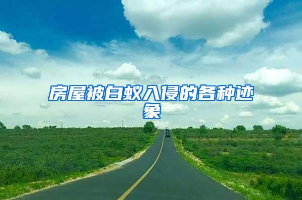 房屋被白蟻入侵的各種跡象