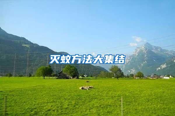 滅蚊方法大集結