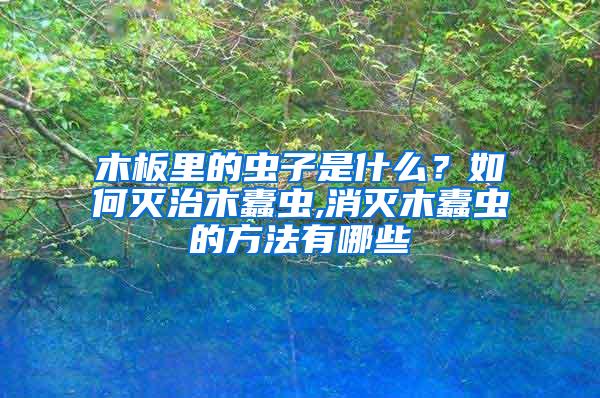 木板里的蟲子是什么？如何滅治木蠹蟲,消滅木蠹蟲的方法有哪些