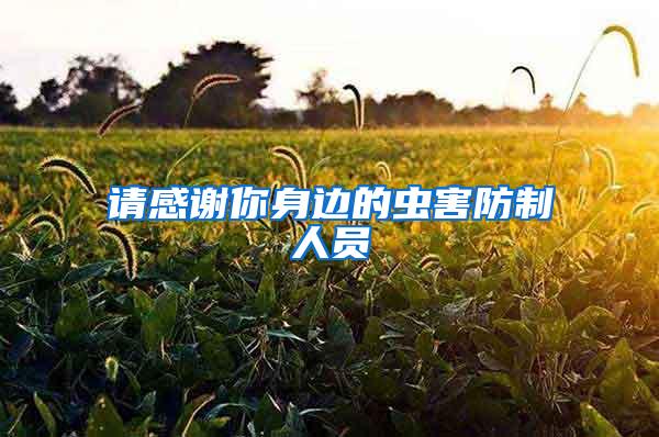 請感謝你身邊的蟲害防制人員