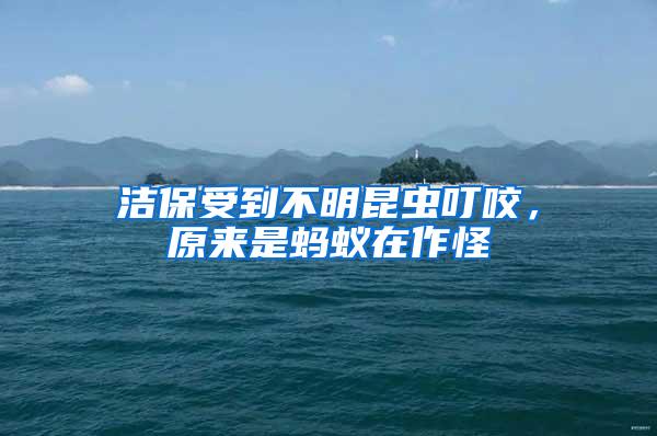 潔保受到不明昆蟲叮咬，原來是螞蟻在作怪
