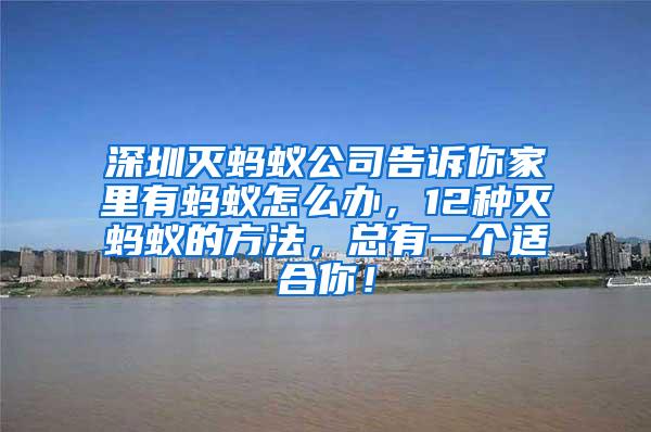 深圳滅螞蟻公司告訴你家里有螞蟻怎么辦，12種滅螞蟻的方法，總有一個適合你！