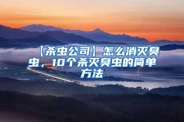 【殺蟲公司】怎么消滅臭蟲，10個殺滅臭蟲的簡單方法