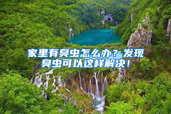 家里有臭蟲怎么辦？發現臭蟲可以這樣解決！