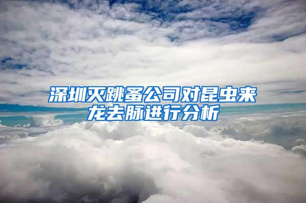 深圳滅跳蚤公司對昆蟲來龍去脈進行分析