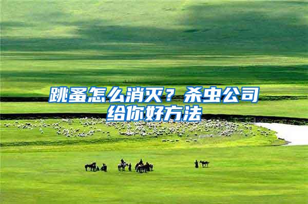 跳蚤怎么消滅？殺蟲公司給你好方法