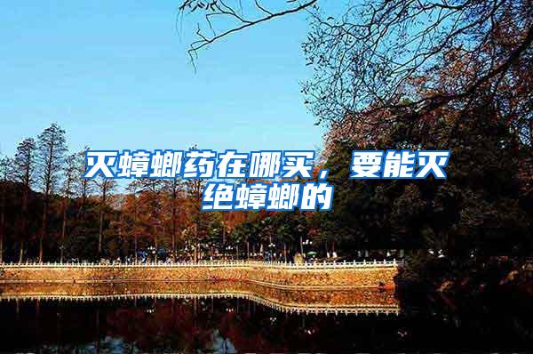 滅蟑螂藥在哪買，要能滅絕蟑螂的