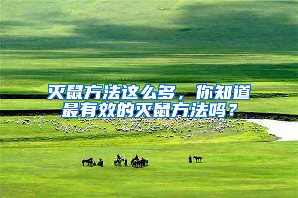 滅鼠方法這么多，你知道最有效的滅鼠方法嗎？