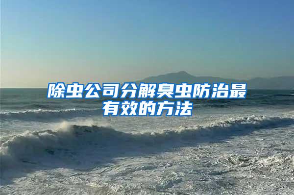 除蟲公司分解臭蟲防治最有效的方法