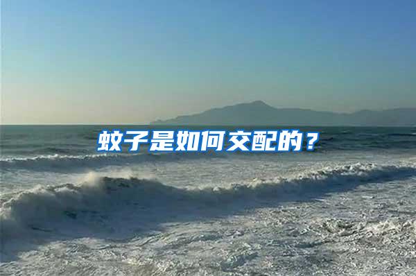蚊子是如何交配的？