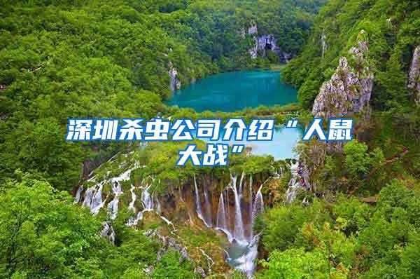 深圳殺蟲公司介紹“人鼠大戰(zhàn)”