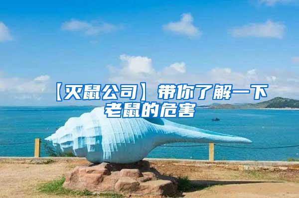 【滅鼠公司】帶你了解一下老鼠的危害