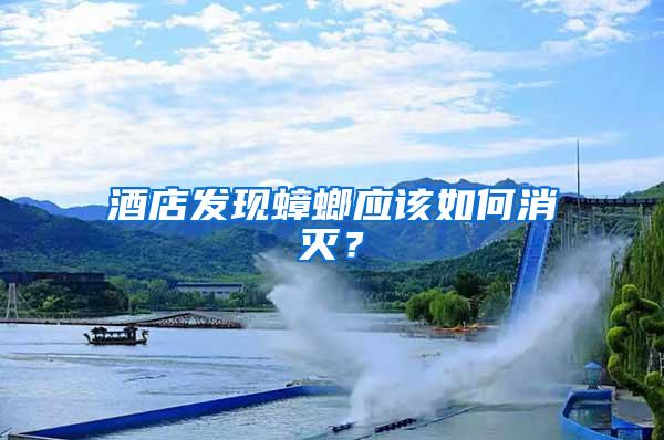 酒店發現蟑螂應該如何消滅？