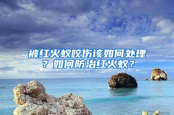 被紅火蟻咬傷該如何處理？如何防治紅火蟻？
