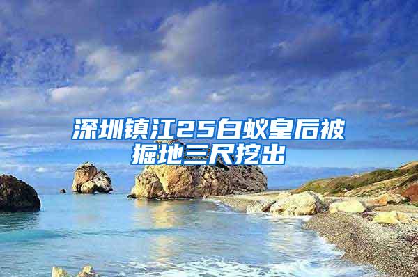深圳鎮江25白蟻皇后被掘地三尺挖出