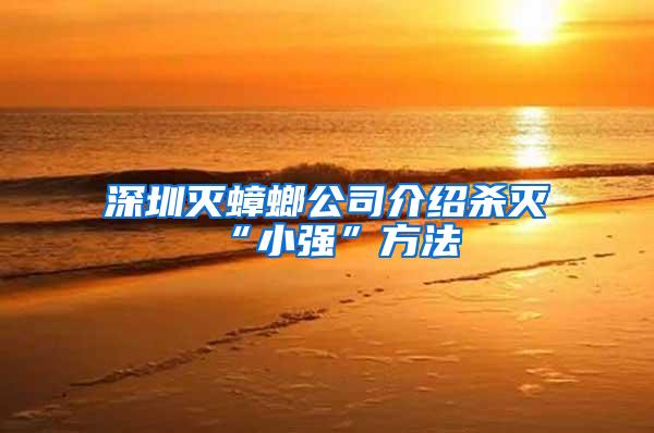 深圳滅蟑螂公司介紹殺滅“小強”方法