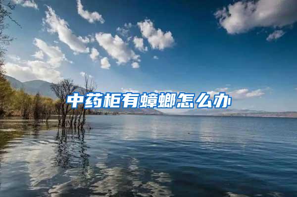中藥柜有蟑螂怎么辦