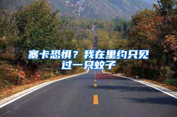 寨卡恐懼？我在里約只見過一只蚊子