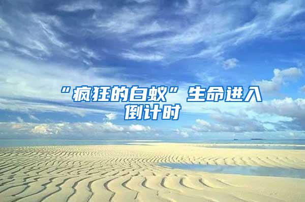 “瘋狂的白蟻”生命進入倒計時