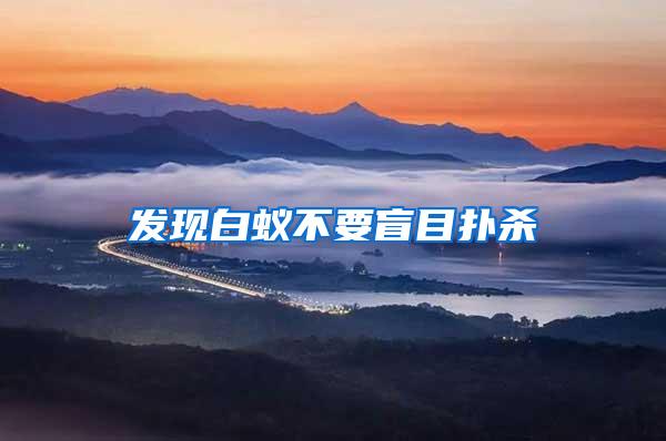 發現白蟻不要盲目撲殺