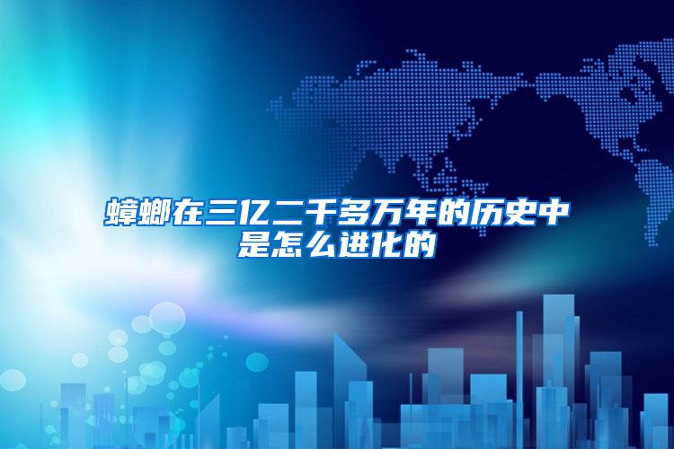 蟑螂在三億二千多萬年的歷史中是怎么進化的