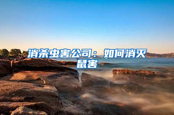 消殺蟲害公司：如何消滅鼠害