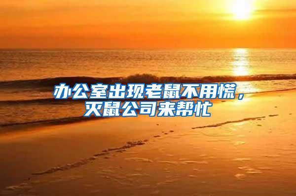 辦公室出現老鼠不用慌，滅鼠公司來幫忙