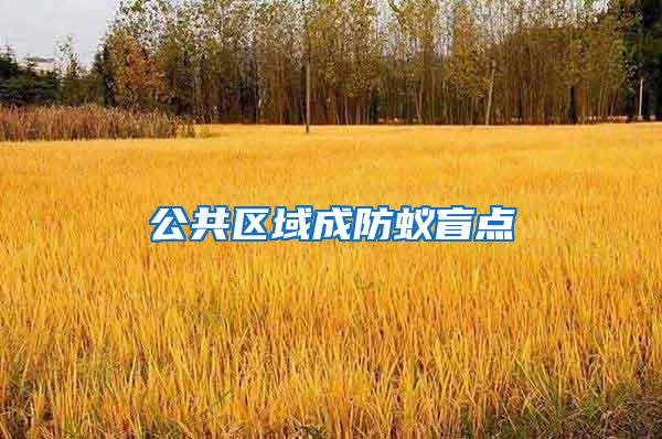 公共區域成防蟻盲點