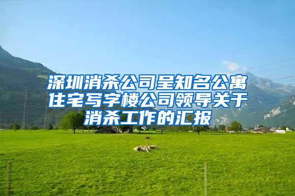 深圳消殺公司呈知名公寓住宅寫字樓公司領導關于消殺工作的匯報