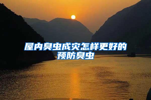 屋內(nèi)臭蟲(chóng)成災(zāi)怎樣更好的預(yù)防臭蟲(chóng)