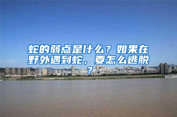 蛇的弱點(diǎn)是什么？如果在野外遇到蛇，要怎么逃脫？