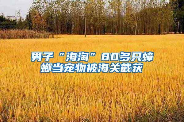 男子“海淘”80多只蟑螂當寵物被海關截獲