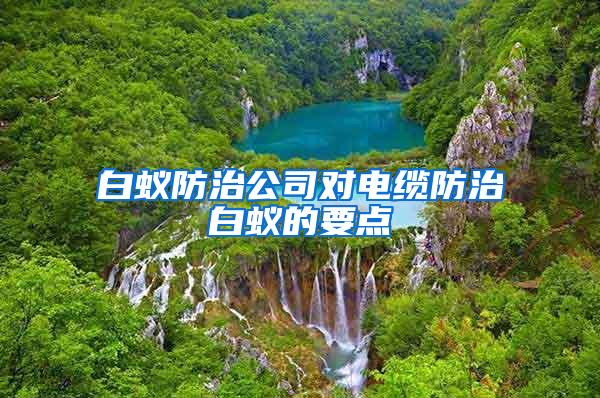 白蟻防治公司對(duì)電纜防治白蟻的要點(diǎn)