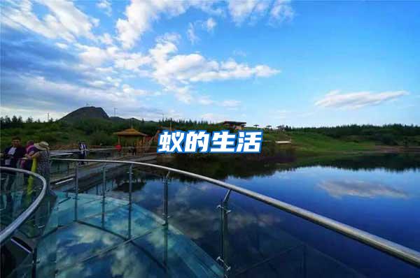 蟻的生活