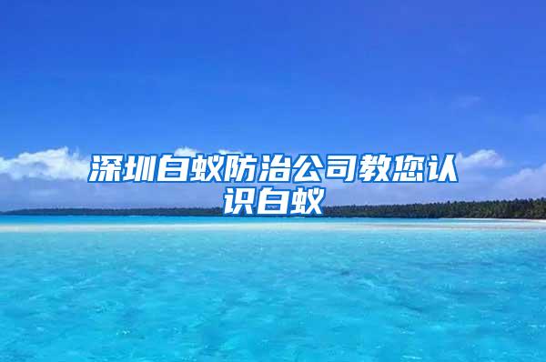 深圳白蟻防治公司教您認(rèn)識(shí)白蟻