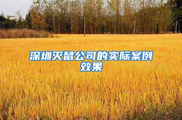 深圳滅鼠公司的實際案例效果