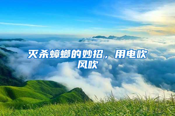滅殺蟑螂的妙招，用電吹風吹