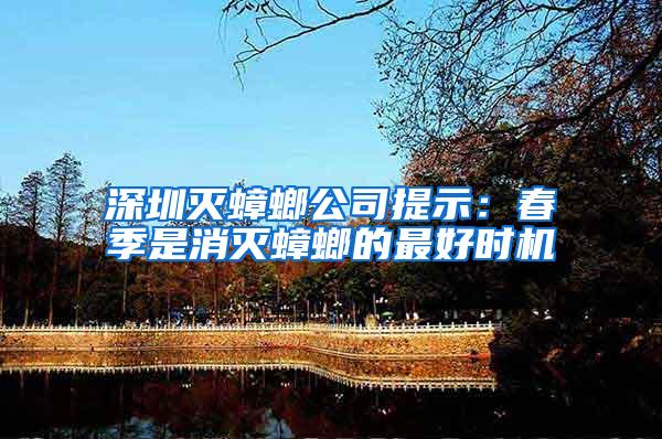 深圳滅蟑螂公司提示：春季是消滅蟑螂的最好時(shí)機(jī)