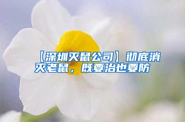 【深圳滅鼠公司】徹底消滅老鼠，既要治也要防