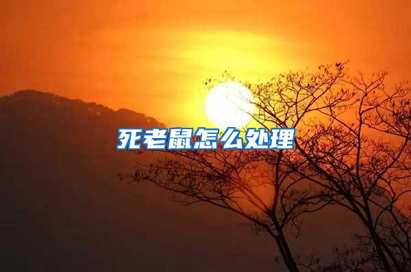 死老鼠怎么處理