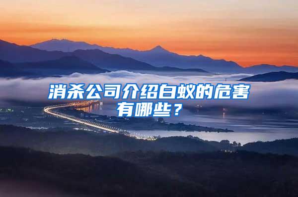 消殺公司介紹白蟻的危害有哪些？